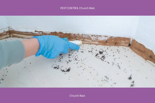 PEST CONTROL Church Rock